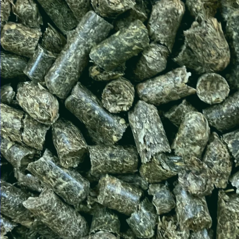 Voralpen Heucobs