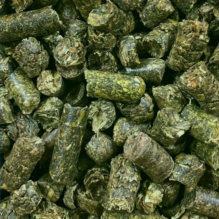 Voralpen Luzernecobs