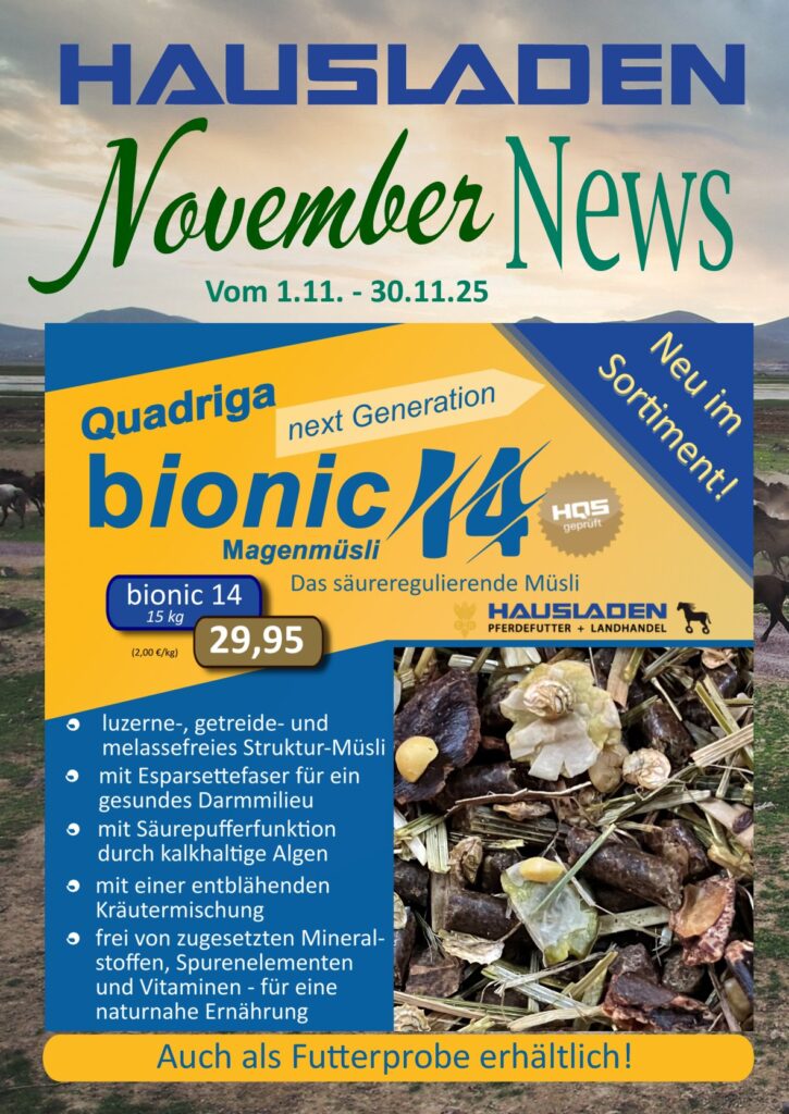 Angebote November 2025