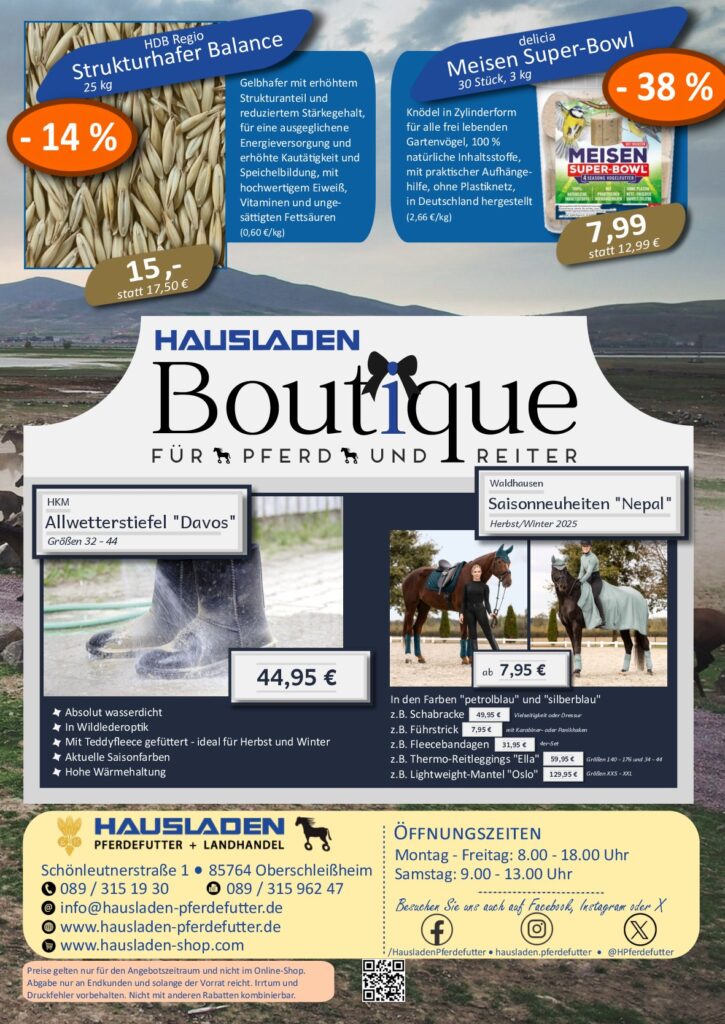 Angebote November 2025